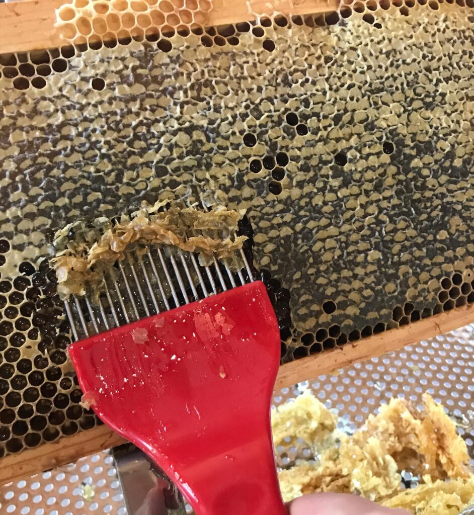 atelier extraction récolte miel